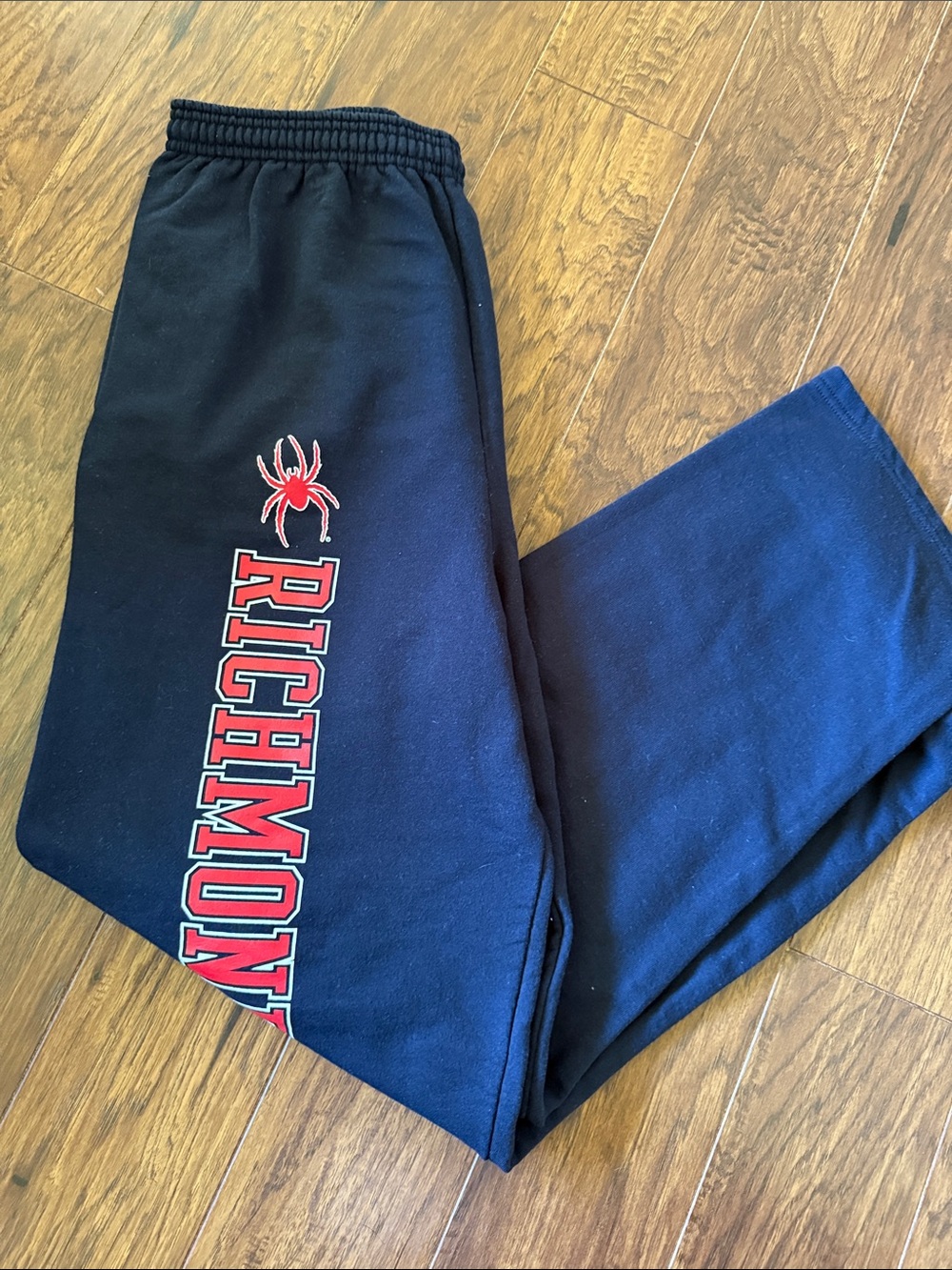 Men’s Champion Sweatpants - University of Richmond